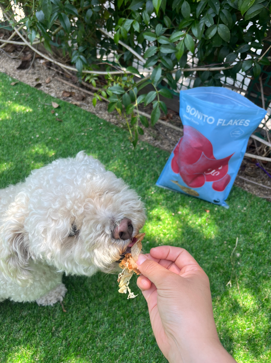 Umami Treats - Bonito Flakes for Cats and Dogs