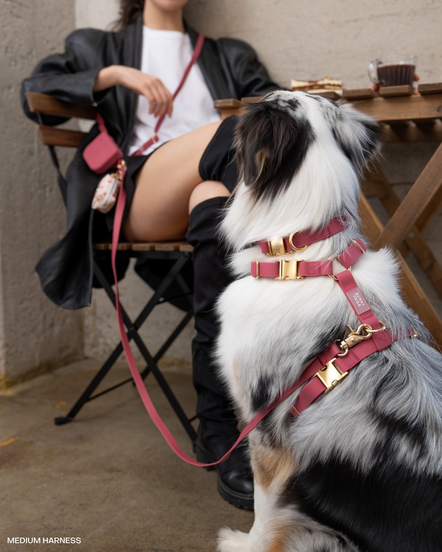 Snap Dog Treat Pouch