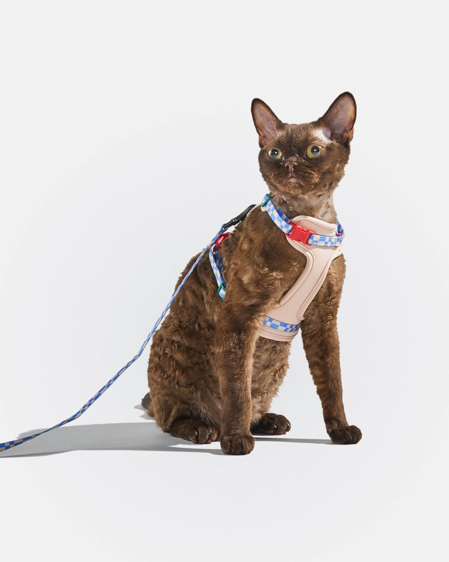 Wild One Cat Harness & Leash