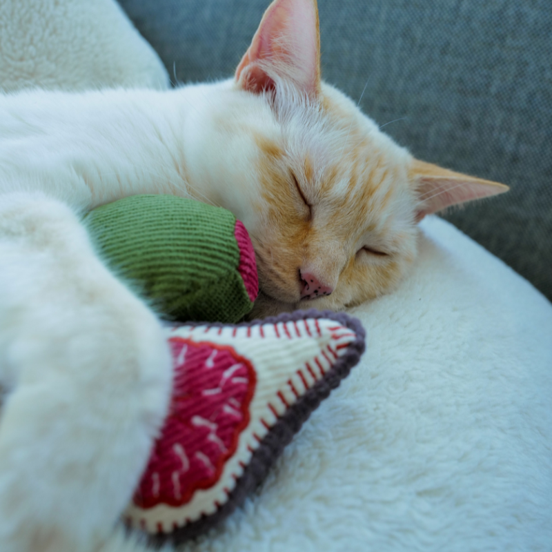Kitty Olive + Fig Cat Toy