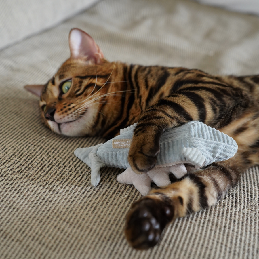 Kitty Trout Toy