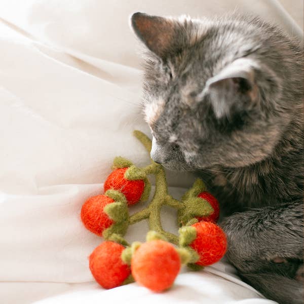 Cherry Tomato Vine Wool Dog & Cat Toy