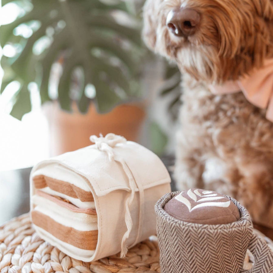Ham & Cheese Enrichment Toy Set