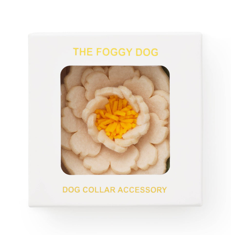 Peony Dog Collar Flower