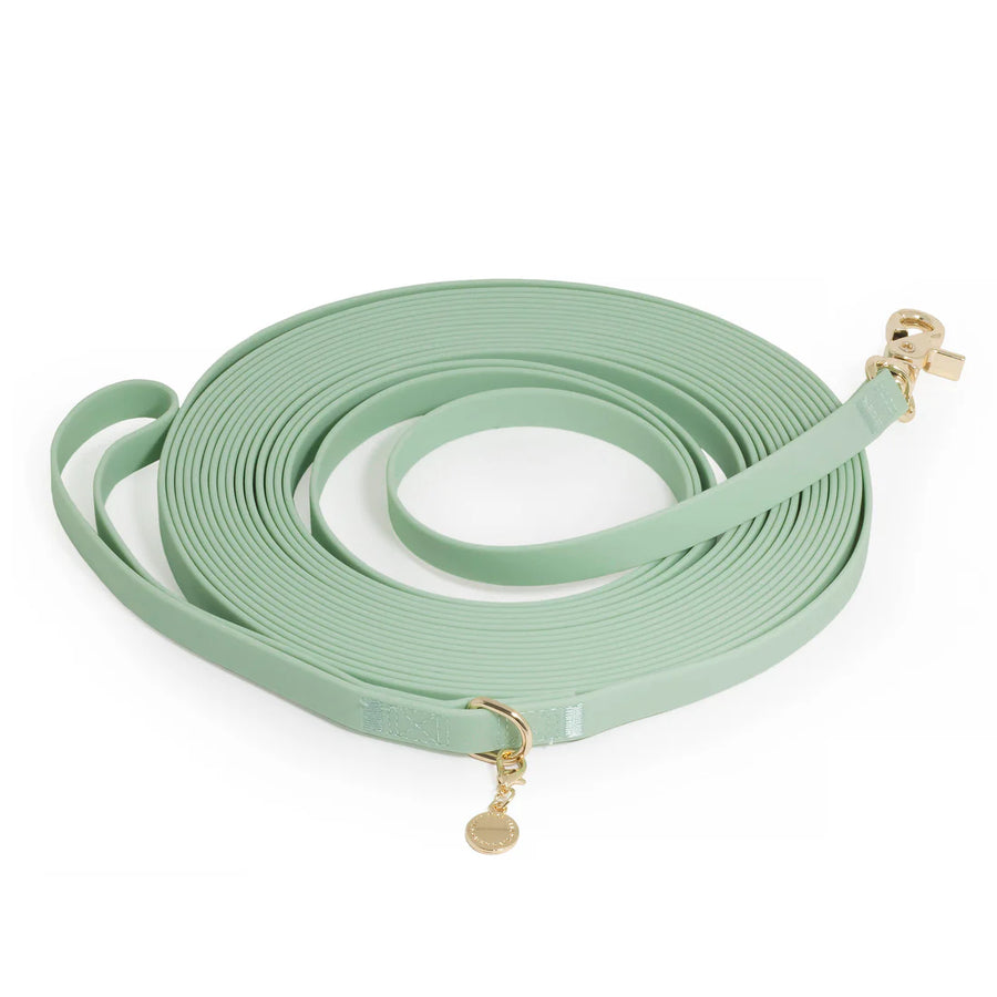 Waterproof Cloud 30 Ft Dog Leash