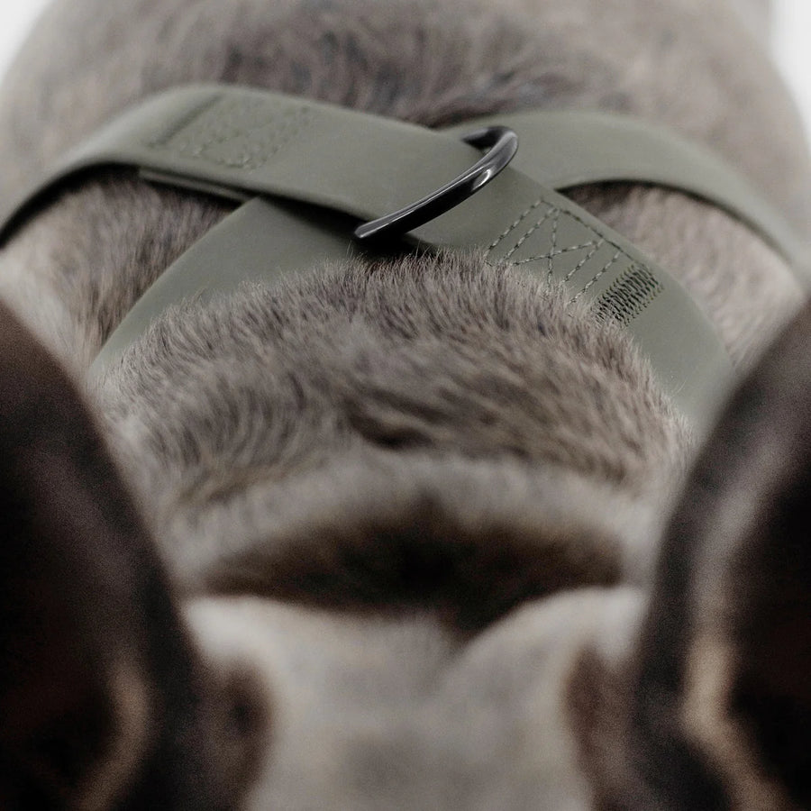 Otto Escape Proof Harness