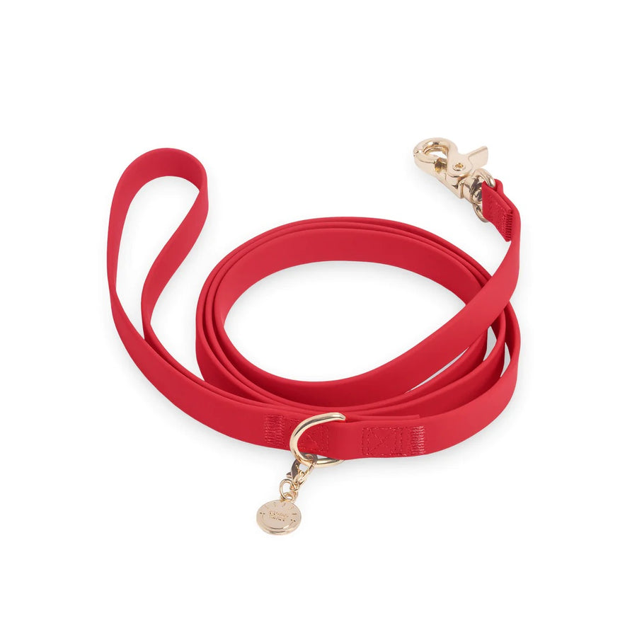 Waterproof Cloud Leash