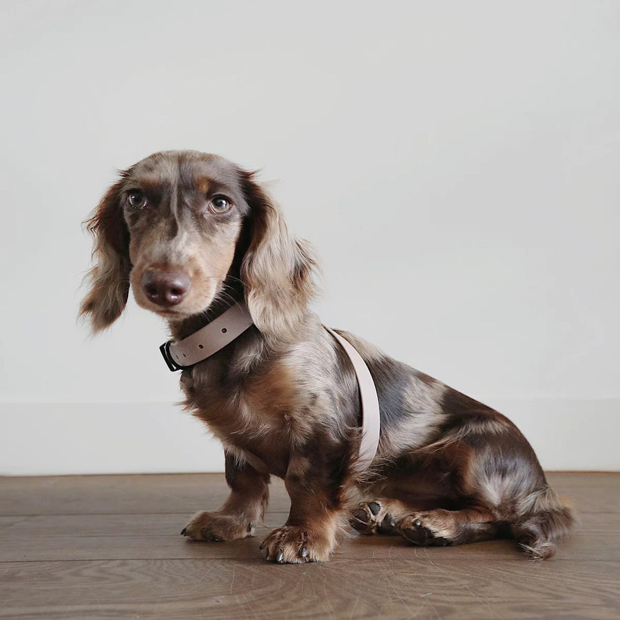 Otto Escape Proof Harness