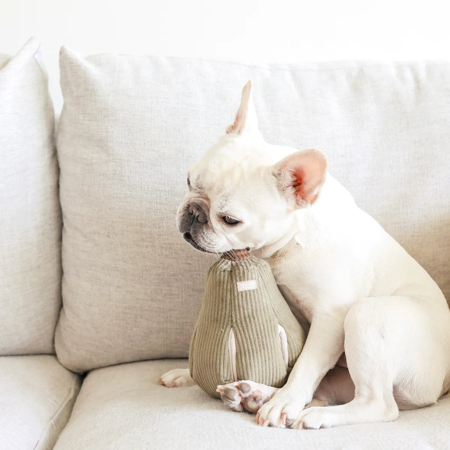 Butternut Gourd Enrichment Snuffle Dog Toy