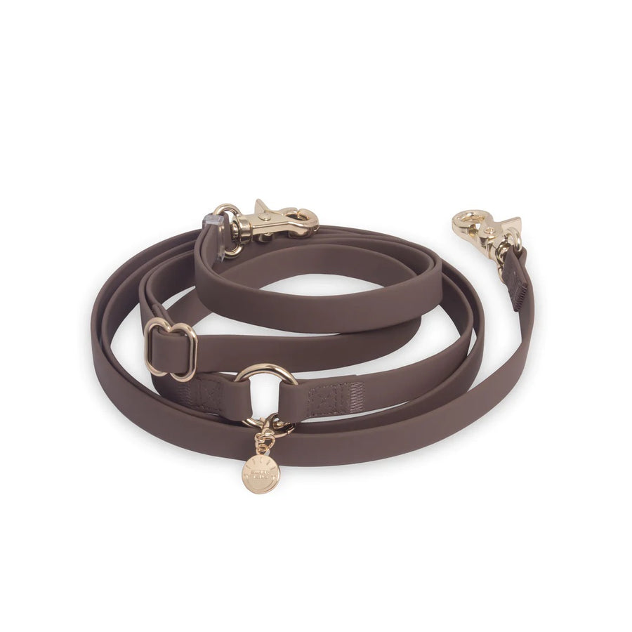 4-in-1 Convertible Hands Free Cloud Dog Leash