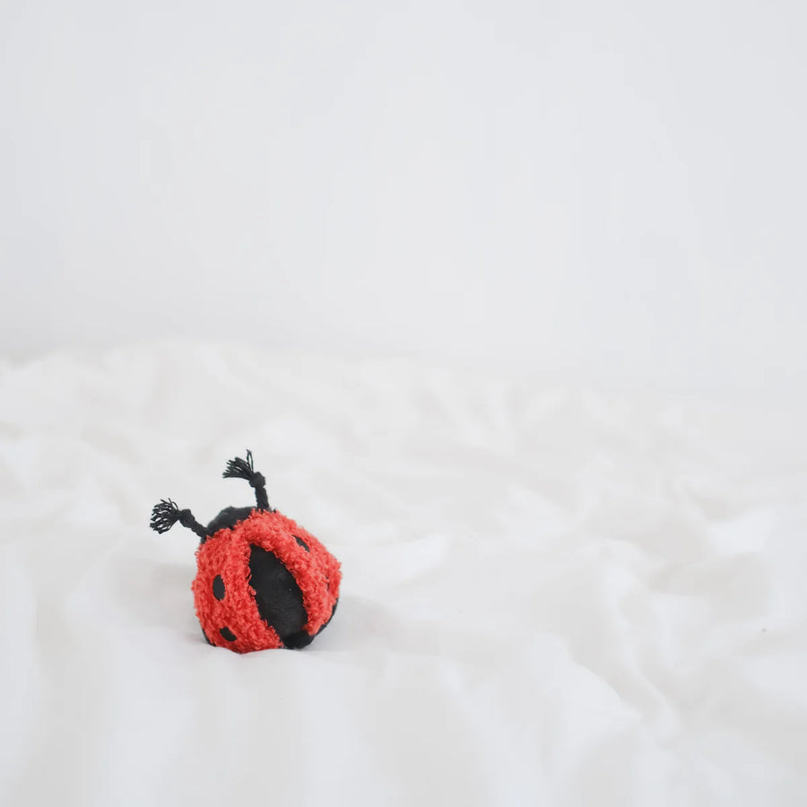 Ladybug POP Dog Toy