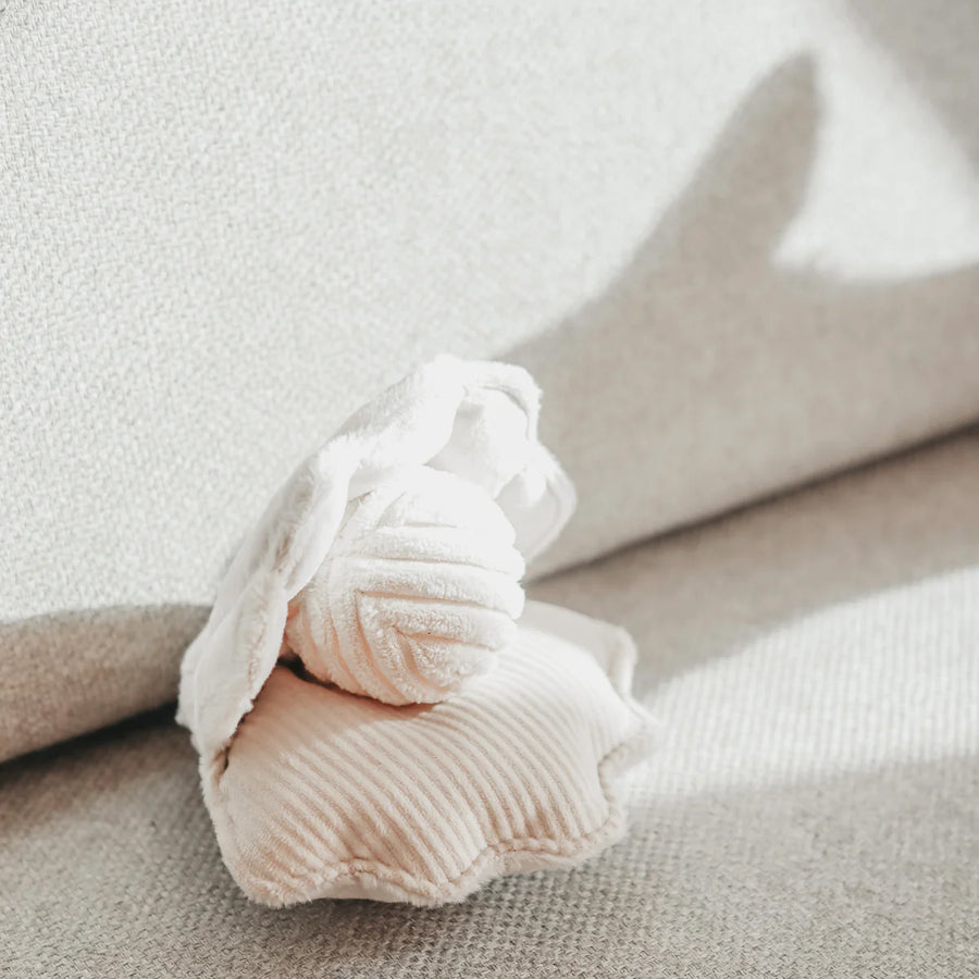 Oyster POP Dog Toy