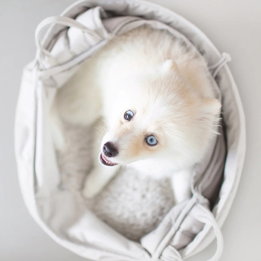 Olla Petite Pet Carrycot