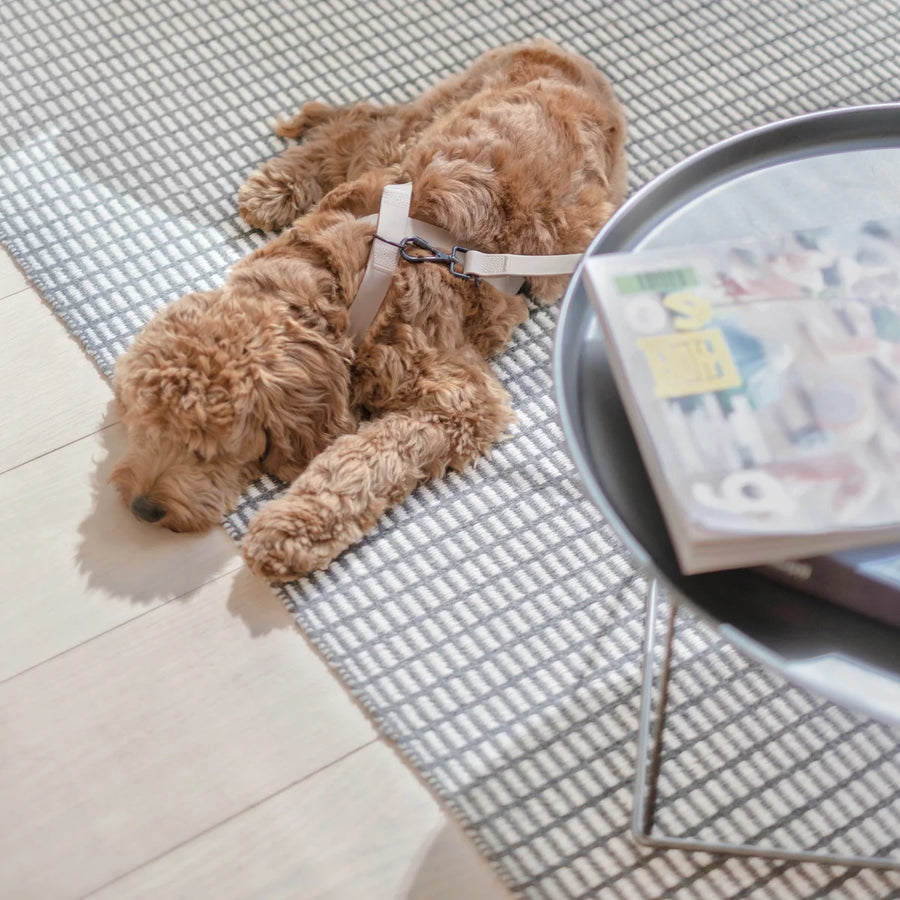 Otto Escape Proof Harness