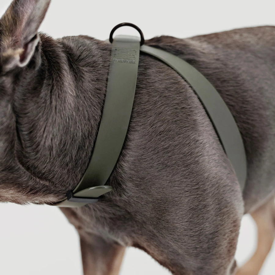 Otto Escape Proof Harness
