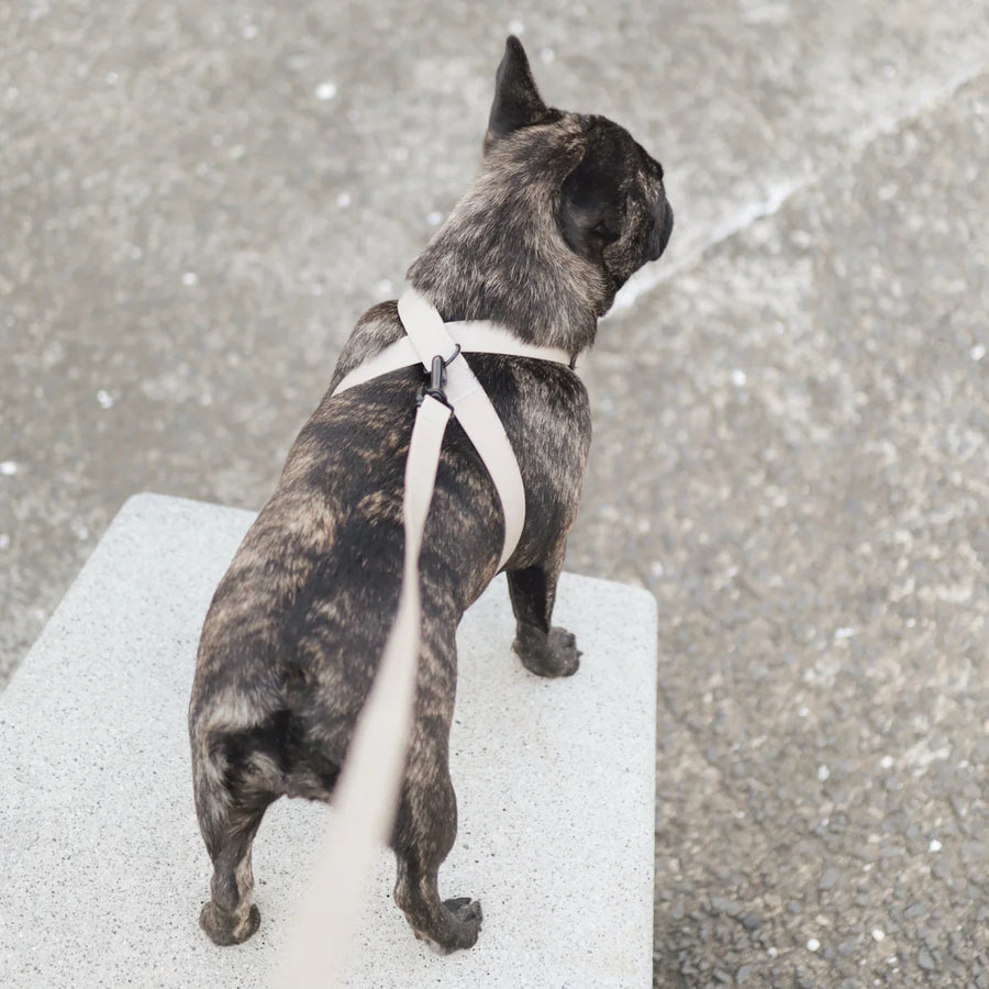 Otto Escape Proof Harness