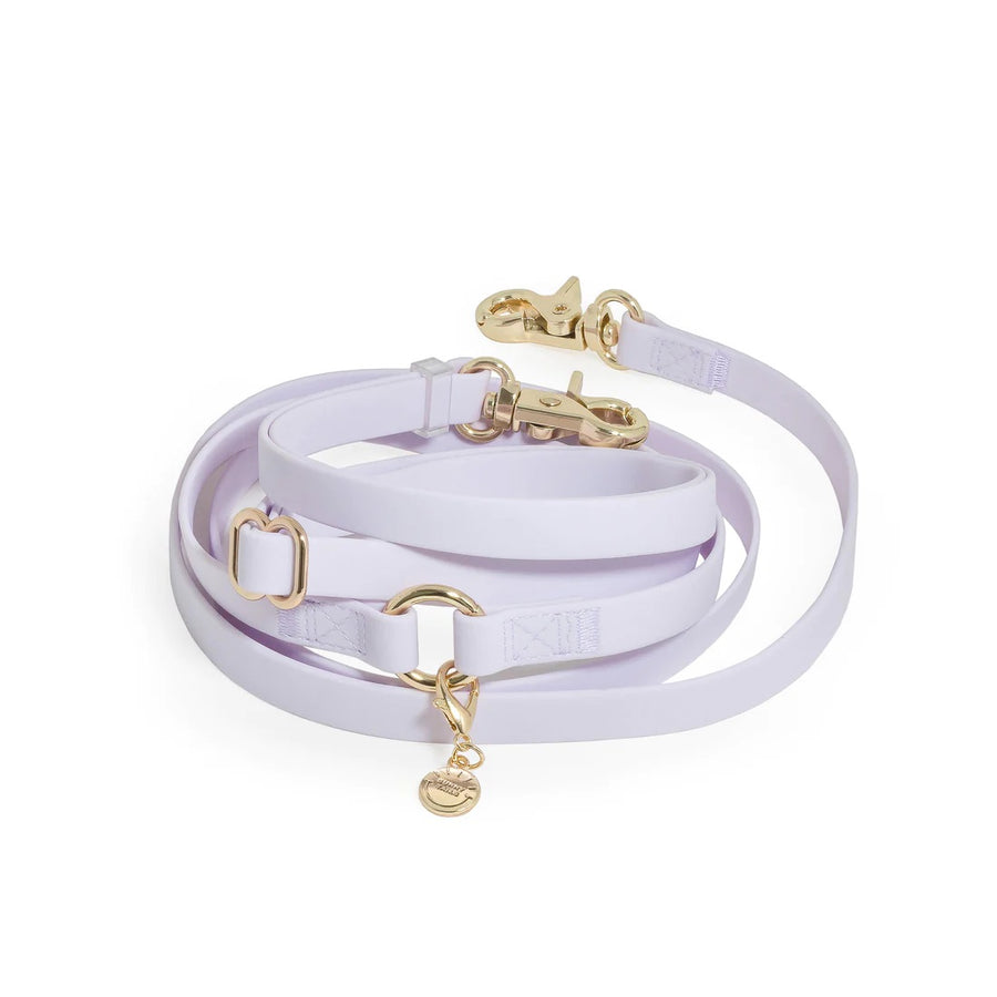 4-in-1 Convertible Hands Free Cloud Dog Leash
