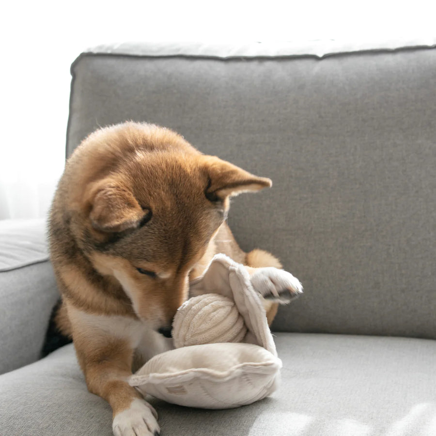 Oyster POP Dog Toy
