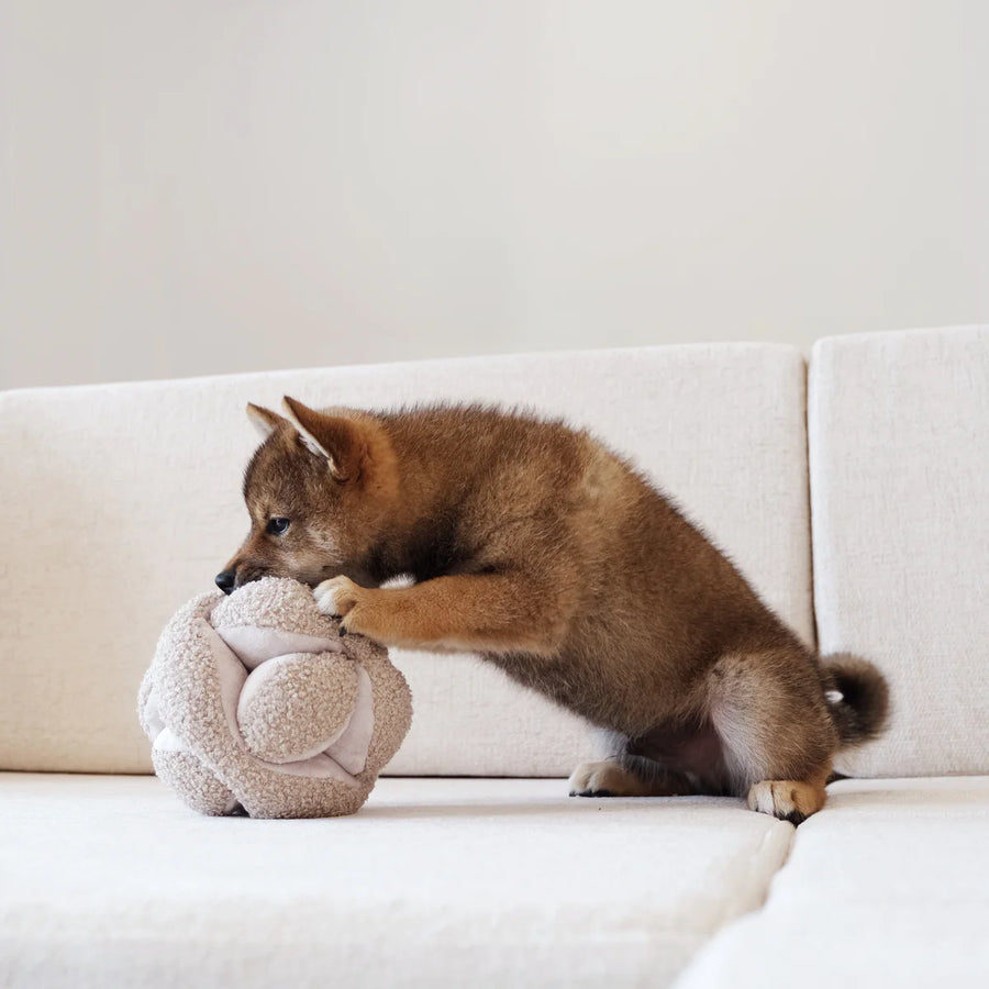 Monti Snuffle Ball