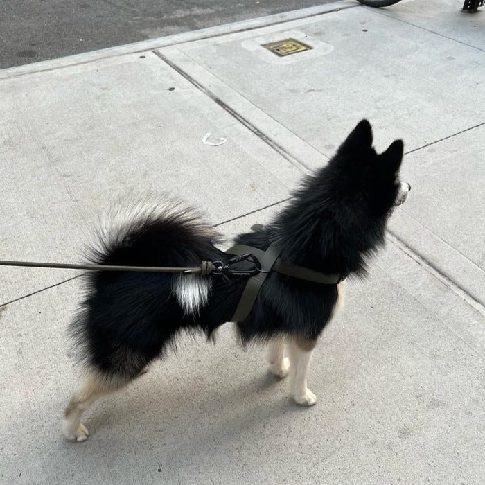 Otto Escape Proof Harness