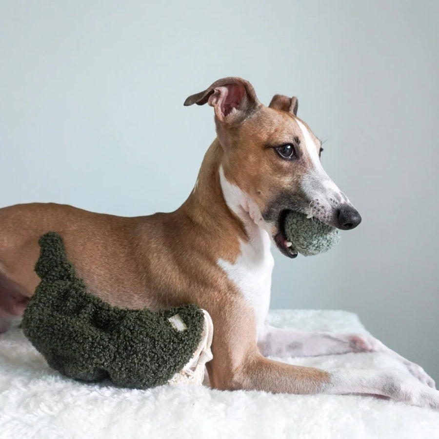 Pea Pop Enrichment Dog Toy