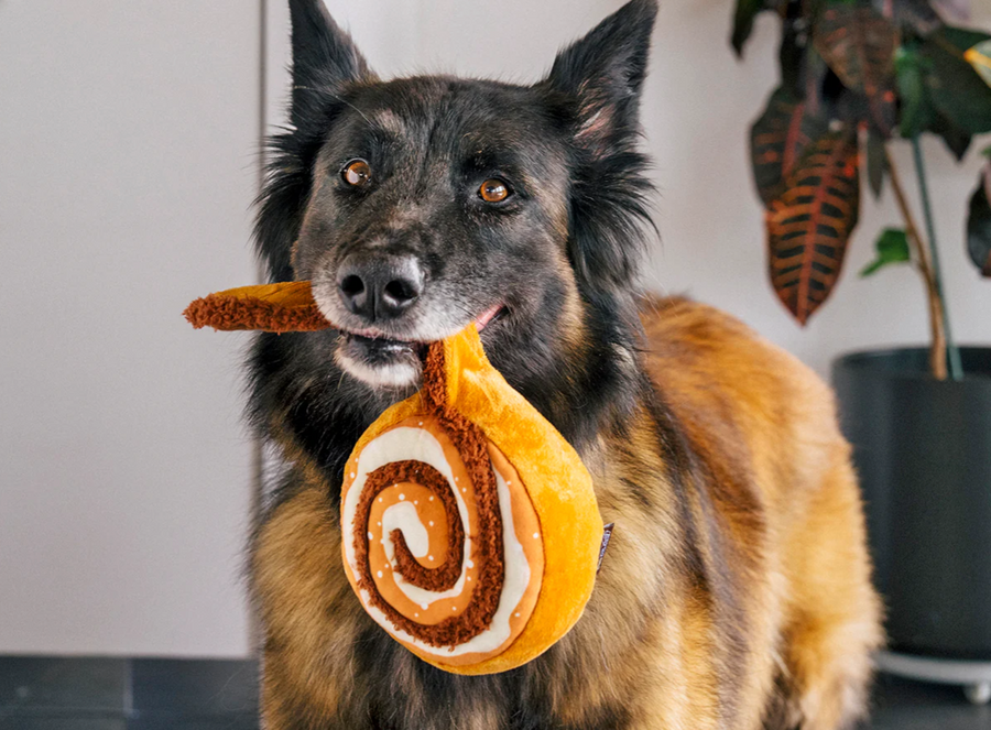 Pup Cup Cafe Cinna-bone Toy