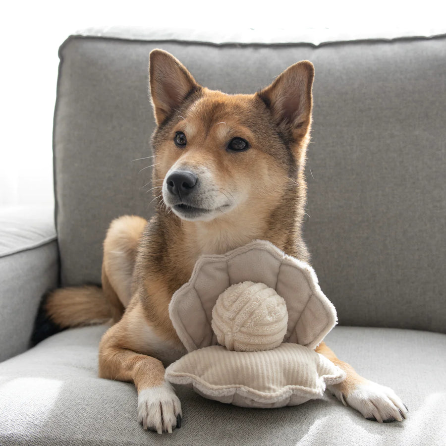 Oyster POP Dog Toy