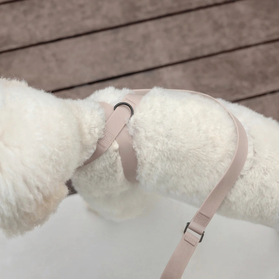 Otto Escape Proof Harness