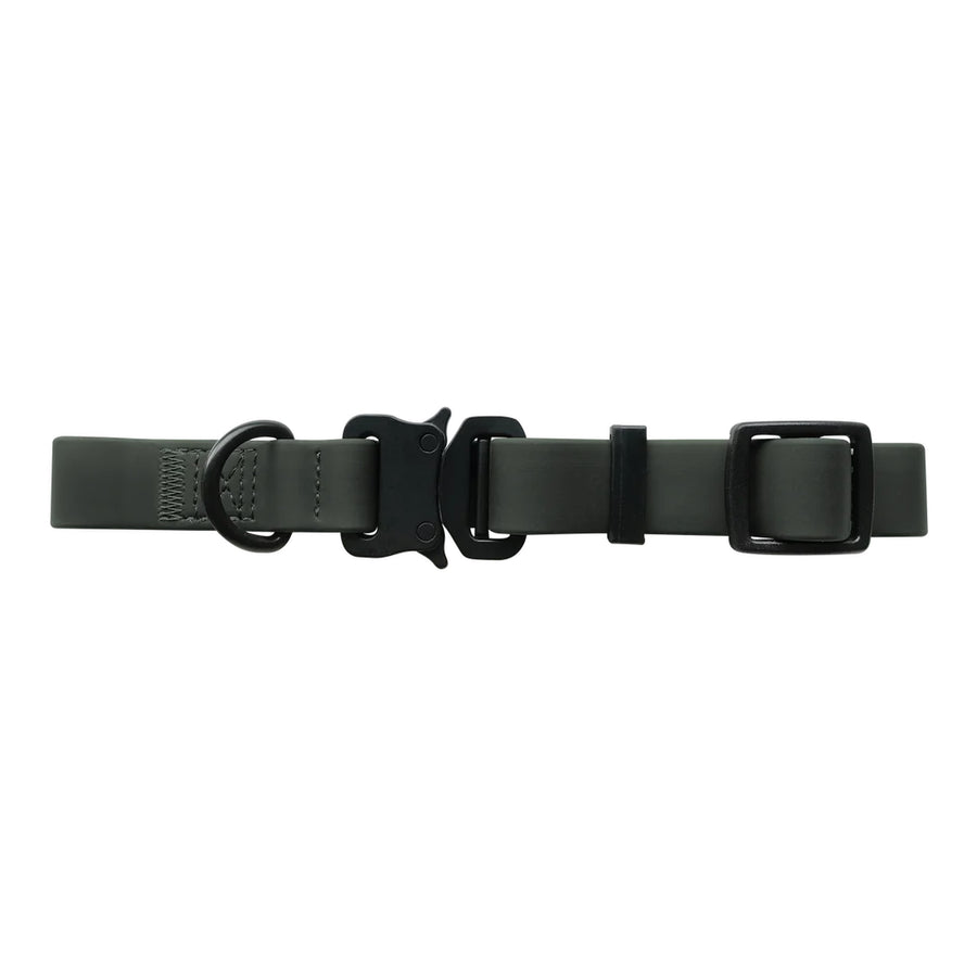 Ava Quick-Release Metal Buckle Collar