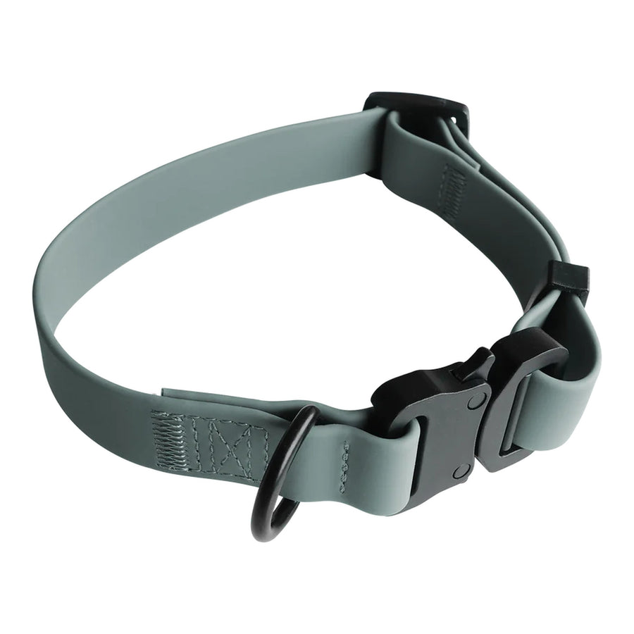 Ava Quick-Release Metal Buckle Collar