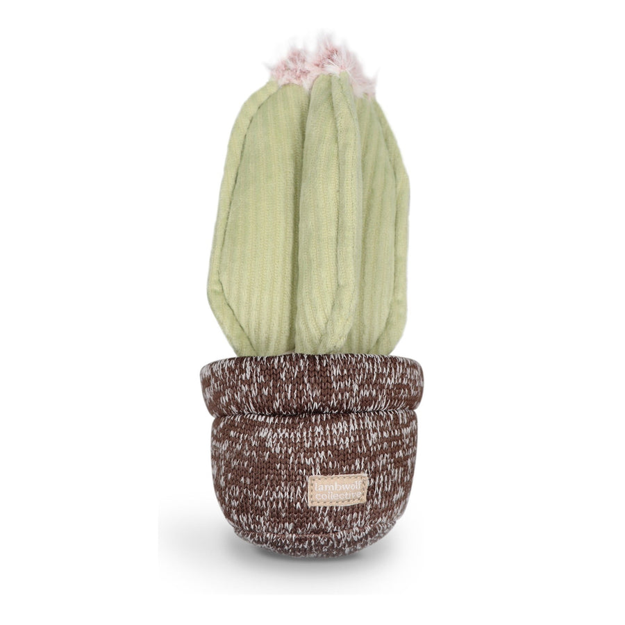 Cactus Dog Toy