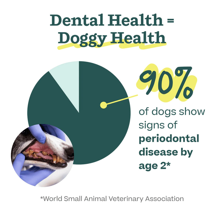 Doggy Dental LickWells