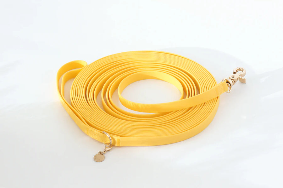 Waterproof Cloud 30 Ft Dog Leash
