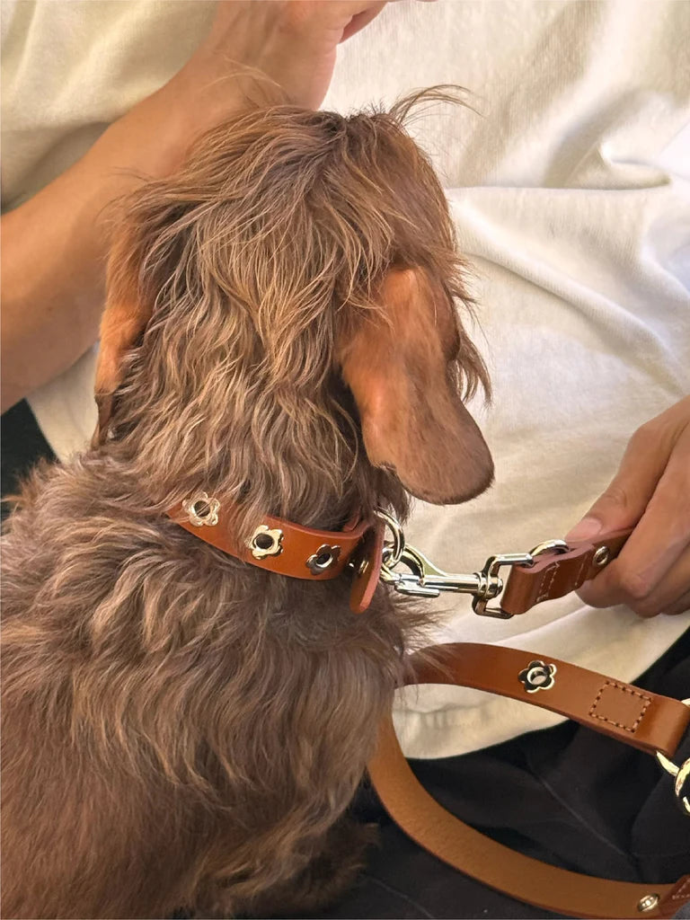 Flower Power Collar