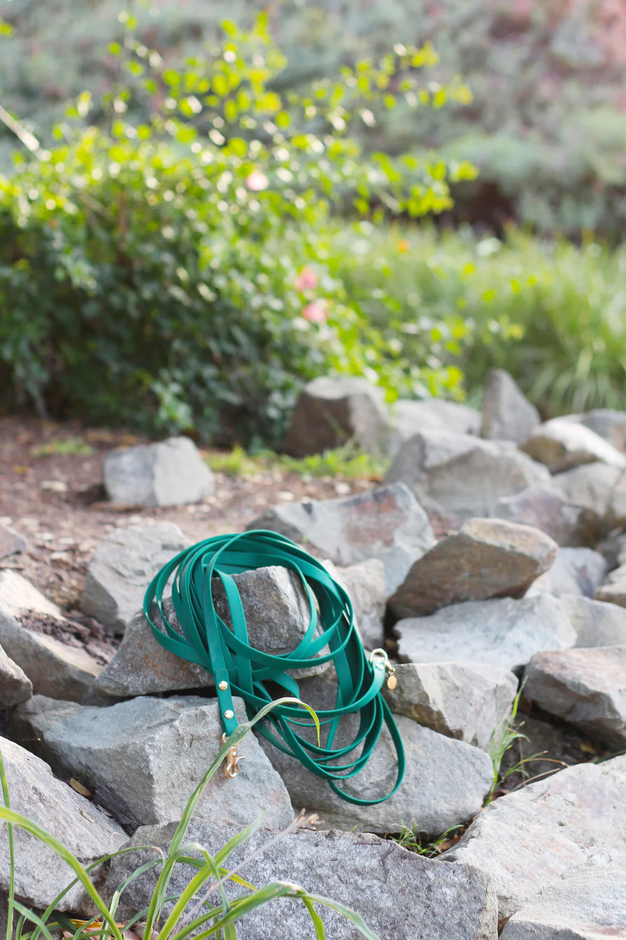 Waterproof Cloud 30 Ft Dog Leash