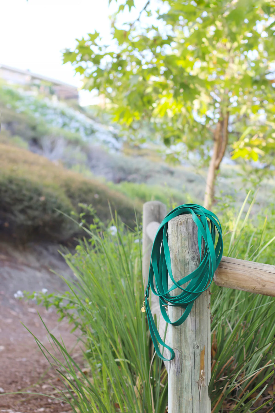 Waterproof Cloud 30 Ft Dog Leash