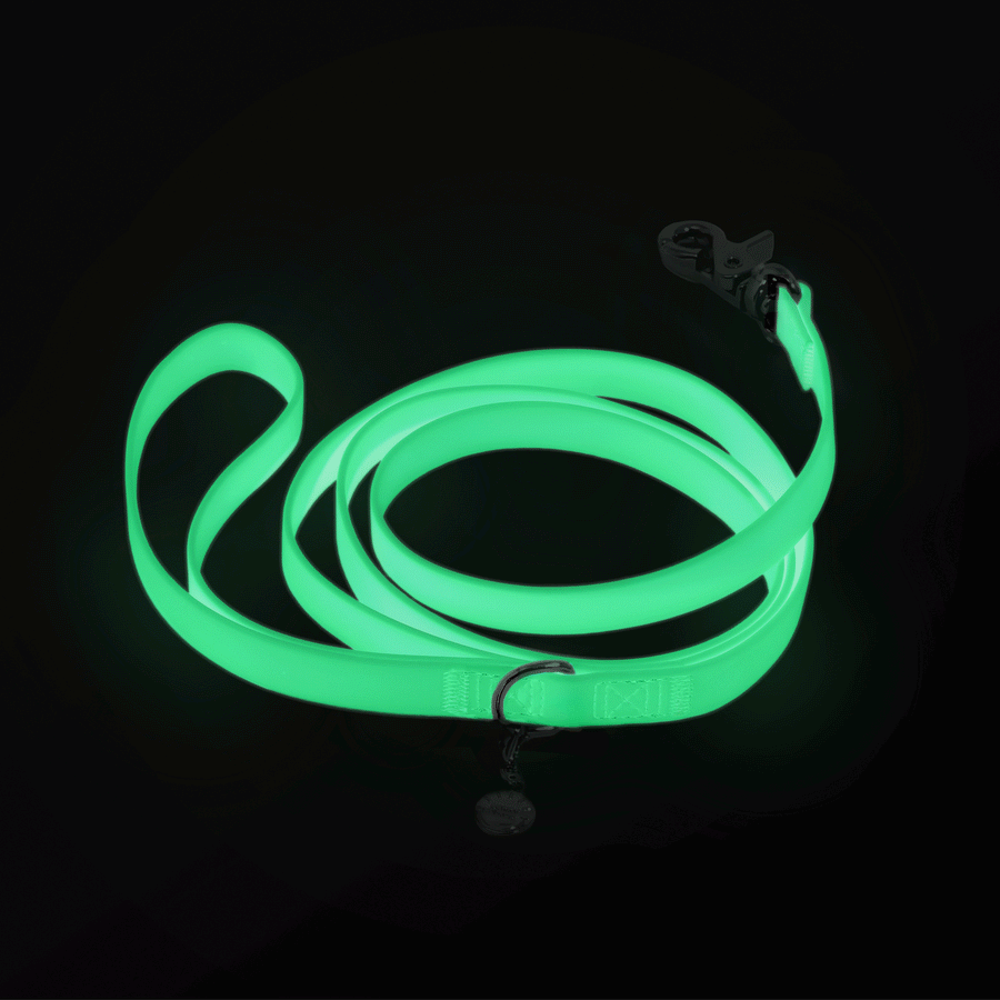 Lunar Glow Waterproof Cloud Dog Leash glowing