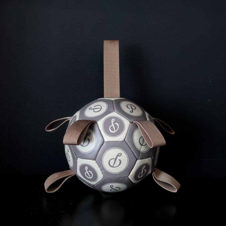 Coffee Puppster Soccer Ball