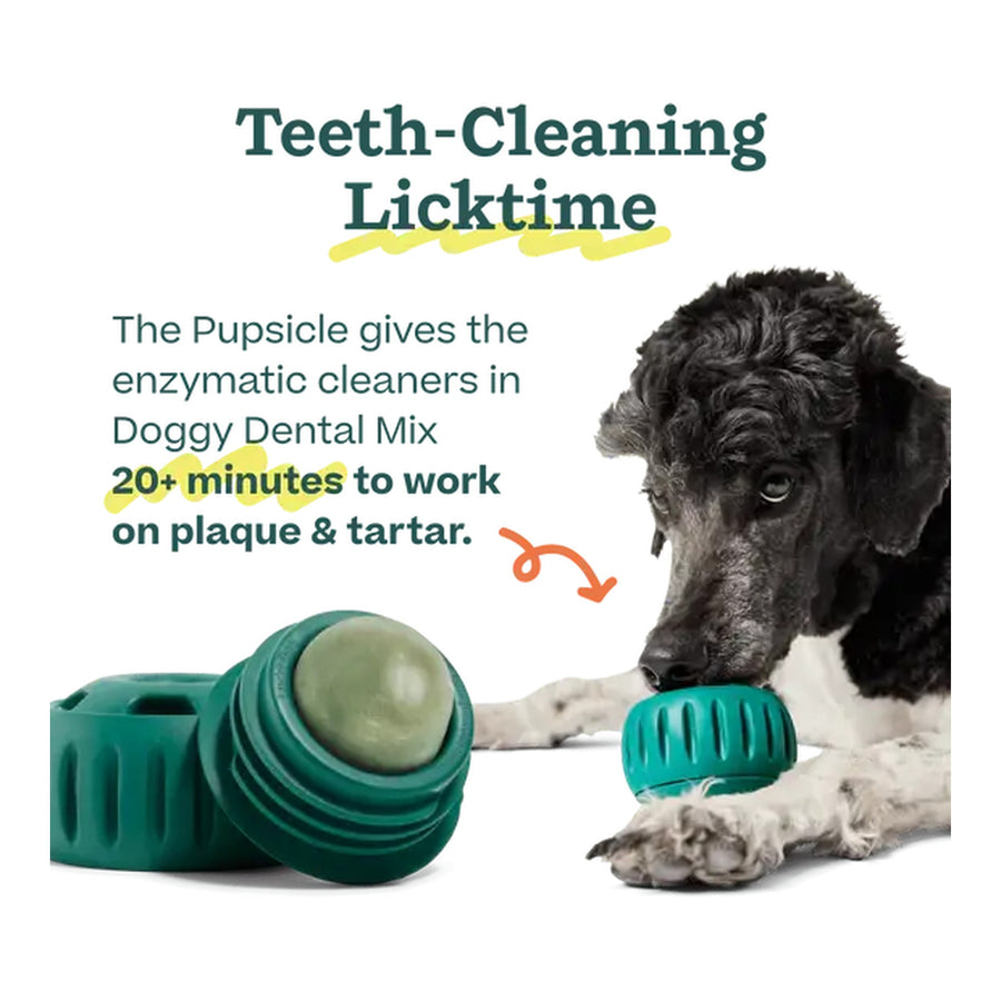 Pupsicle Treat Mix - Doggy Dental