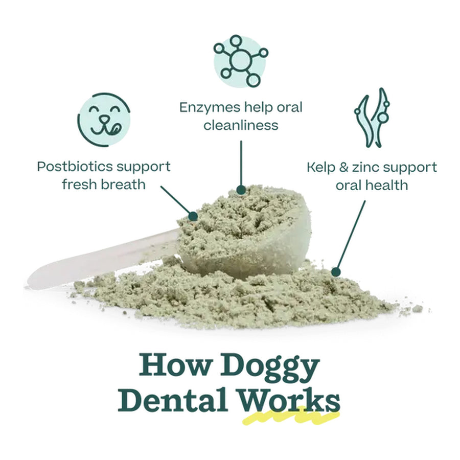 Pupsicle Treat Mix - Doggy Dental
