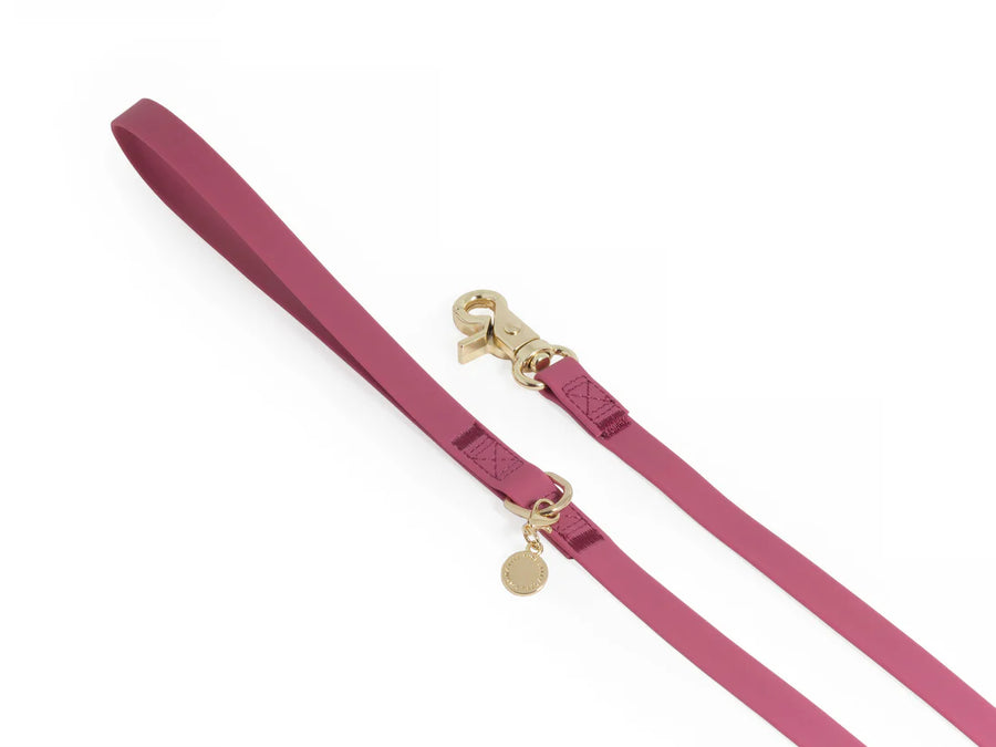 Waterproof Cloud 30 Ft Dog Leash