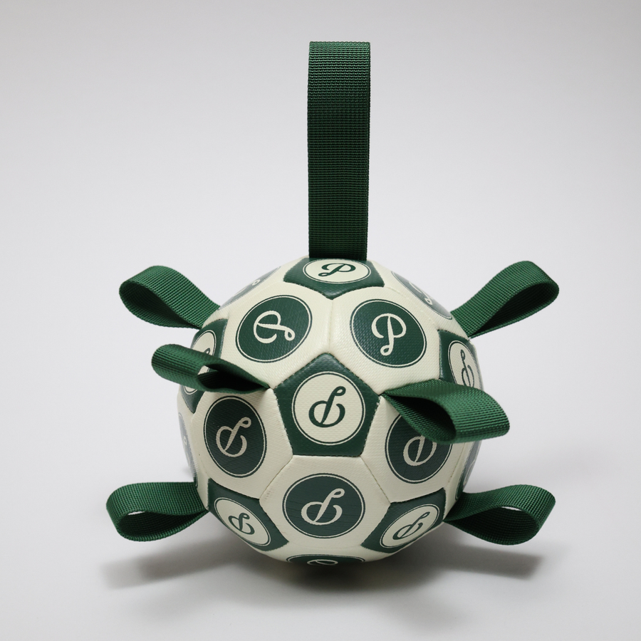 Green/Cream Puppster Soccer Ball
