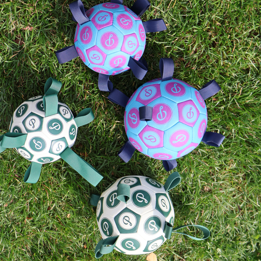 Puppster Soccer Ball tug play