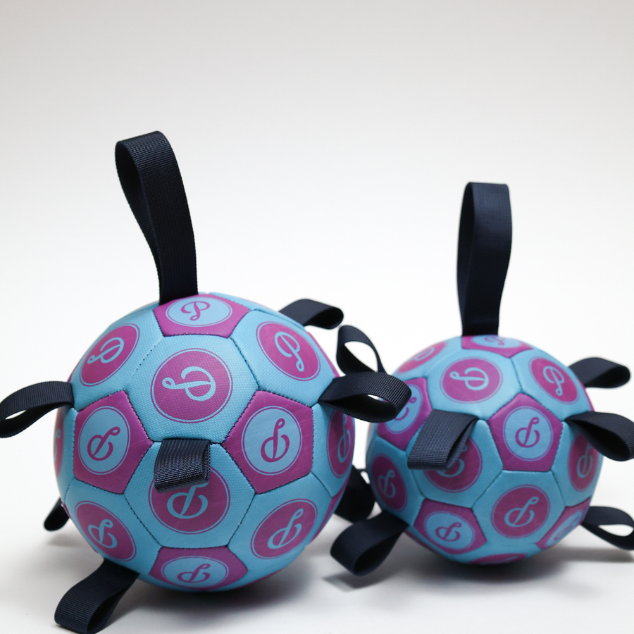 Purple/Blue Puppster Soccer Ball