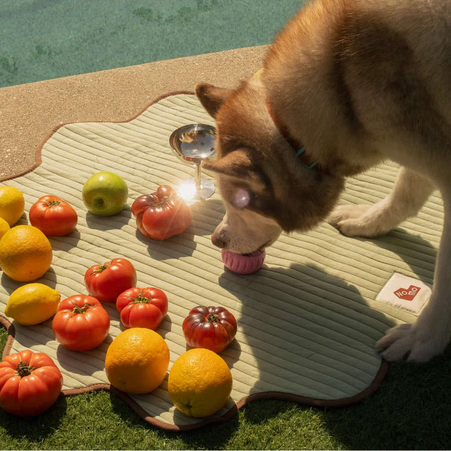 The Charlie Cooling Mat