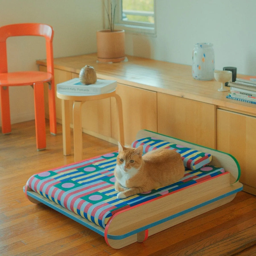 The Leo Bed – Modern Elevated Dog & Cat Bed