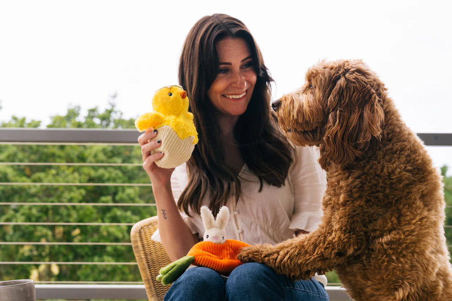 Hippity-Hoppity Chick Me Out Toy Set