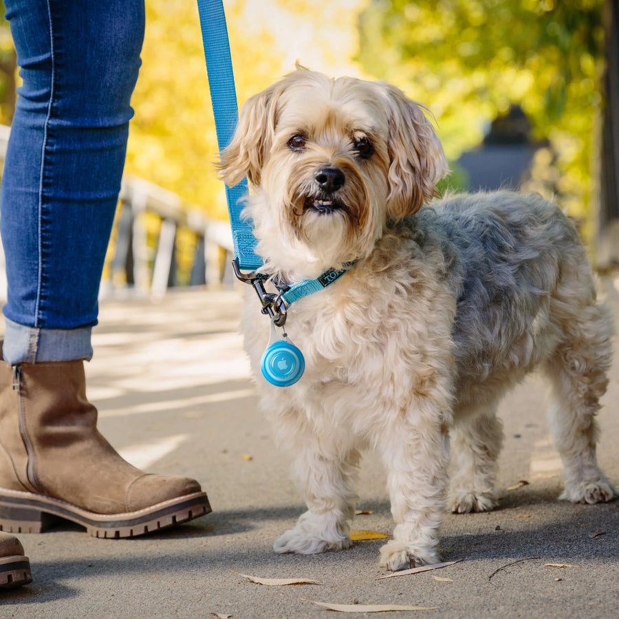 WearAbout® Pet Clippable Tracker Holder
