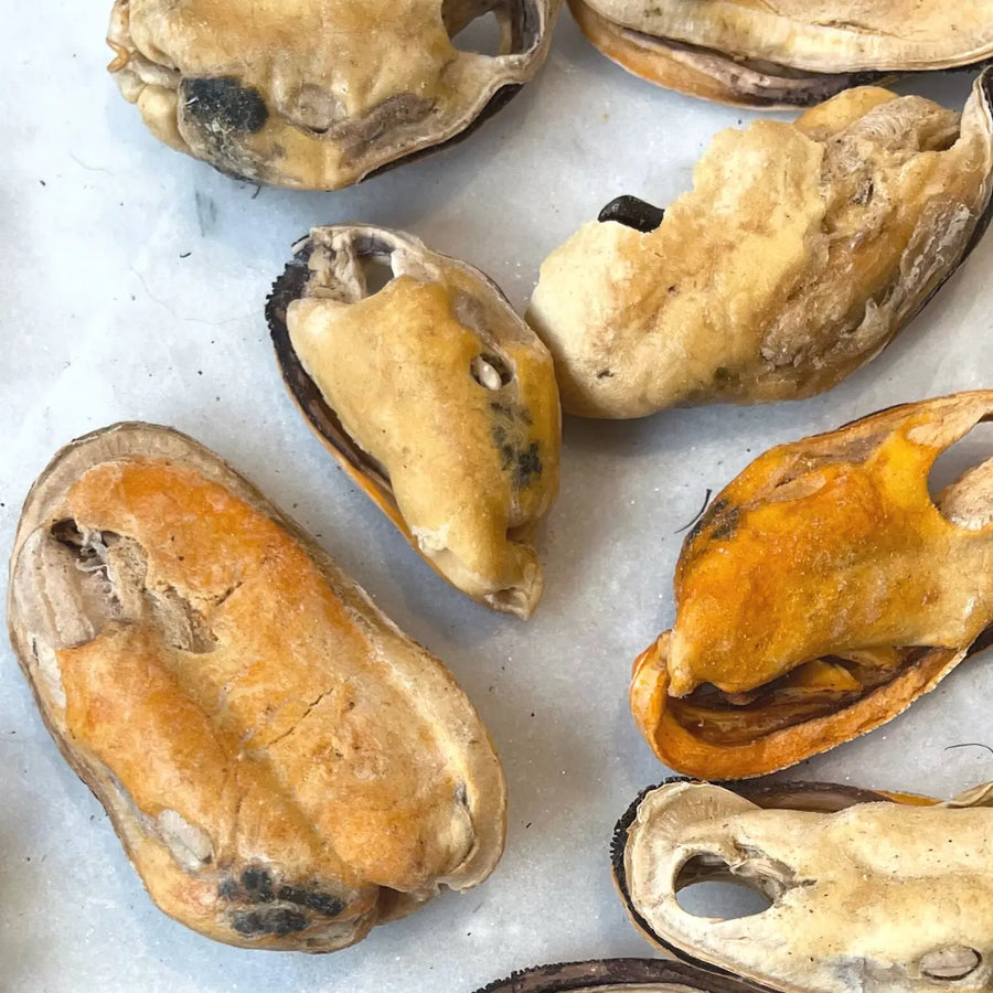 Organic Green Lipped Mussels Dog Treats