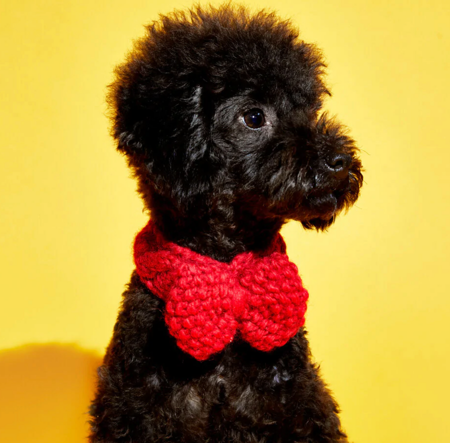 Knit Bow Tie